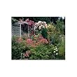 Springbok Garden Arbor Jigsaw Puzzle 500pc