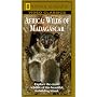 National Geographic's Africa: Wilds of Madagascar [VHS]