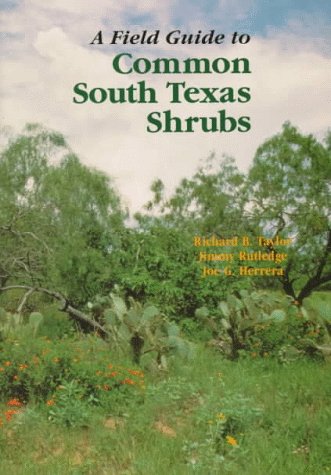 a field guide to common south texas shrubs learn about texas