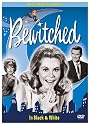 Bewitched - The Complete First Season (Black and White)