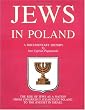Jews in Poland: A Documentary History - The Rise of Jews as a Nation from Congressus Judaicus in Poland to the Knesset in Israel