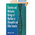 Genetics and Molecular Biology of Rhythms in Drosophila and Other Insects, Volume 48 (Advances in... by Jeffrey C. Hall