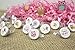 Pink Owl Baby Shower Favor Stickers - 180 Labels