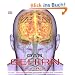 Das Gehirn: Anatomie, Sinneswahrnehmung, Ged�chtnis, Bewusstsein, St�rungen