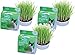 Cat Oat Garden Kit [Set of 3]