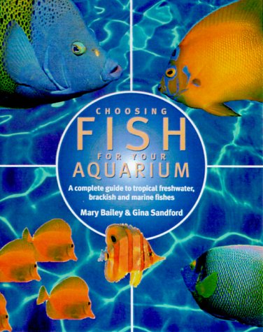 Choosing Fish for Your Aquarium: A Complete Guide 