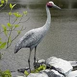 ＦＲＰ動物オブジェ　湖畔の豪州鶴 / Brolga Crane