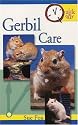 Gerbil Care: Quick and Easy Guide