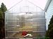 12 X 10 Polycarbonate Aluminum Framed Steel Base Greenhouse 