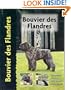 Bouvier Des Flandres (Pet Love S.)