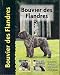 Bouvier Des Flandres (Pet Love)