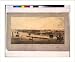 Historic Print (L): Panoramic view of St. Petersburg, dedicated by permission to his ...