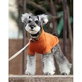 【雨の日のお散歩に最適の<strong>レインコート</strong>】犬と生活　Ｒパーカー　ＬＧＭ　オレンジ