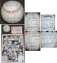 1969 Chicago Cubs Team Signed MLB Baseball - Chicago Cubs MLB Baseball Sports Memorabilia