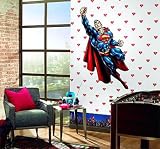 Superman - White Super Man Accent Wallpaper