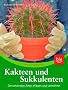 Kakteen und Sukkulenten: Die sch�nsten Arten pflegen und vermehren