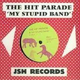 My Stupid Band [12" VINYL]