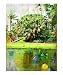 Exposition Chihuly at Fairchild, Glass blowing Scenic Giclee Poster Print by Palm Images, 16x20