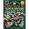 Some of my son's favourite dinosaur books (age 5)