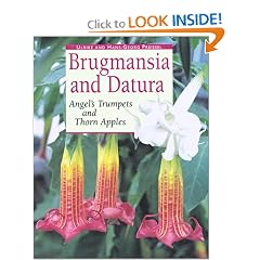 Brugmansia and Datura: Angel's Trumpets and Thorn Apples