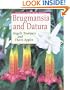 Brugmansia and Datura: Angel's Trumpets and Thorn Apples