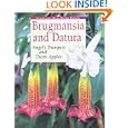 Brugmansia and Datura: Angel's Trumpets and Thorn Apples