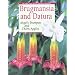Brugmansia and Datura: Angel's Trumpets and Thorn Apples