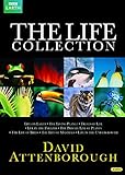 Attenborough - The Life Collection [DVD]