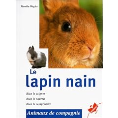 Le lapin nain