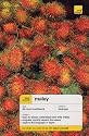 Teach Yourself Malay (TY Complete Courses)