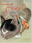 Chats ! : En art et en po�sie
