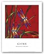 Dragonfly Dreams by Robert John Ichter 16"x16" Art Print Poster
