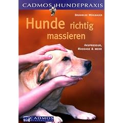 Hunde richtig massieren