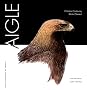 aigle