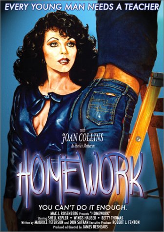 Childrens Toyshop  DVD : Homework