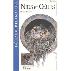 Nids et oeufs