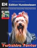 Der Yorkshire Terrier