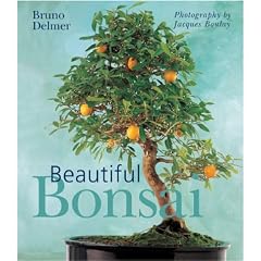 Beautiful Bonsai