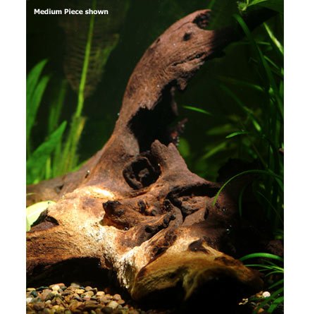 animated aquarium wallpaper. Animated Aquarium Wallpaper