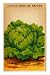 French Cabbage Seed Packet Collections Premium Poster Print, 12x18