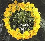 Avalon Sutra by Darla Records 【並行輸入品】