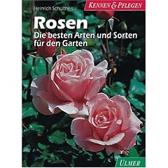 Rosen