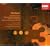 Nielsen: Symphonies Nos. 1-6