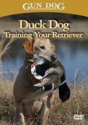Duck Dog: Training Your Retriever