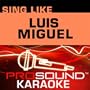 Sing-A-Long Luis Miguel