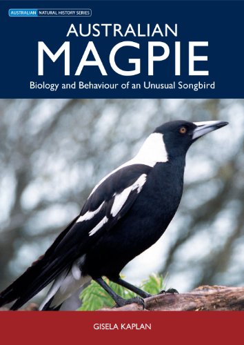 Australian Magpie: Biology and Behaviour of an Unusual Songbird (Australian Natural History)