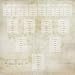 12x12 PAPER 25PK FAMILY TREE