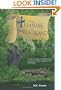 The Treasure of Amelia Island (Florida Historical Fiction for Youth)