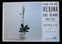 Ikebana (Shoka) of Ikenobo