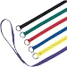Guardian Gear 4-Feet Nylon Dog Kennel Lead, 6-Pack, Multicolor